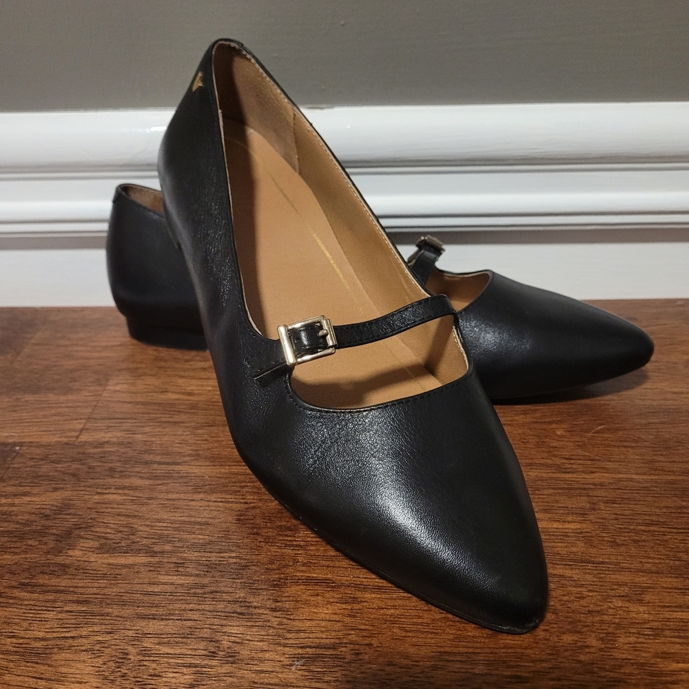 Vionic pointed toe flats
